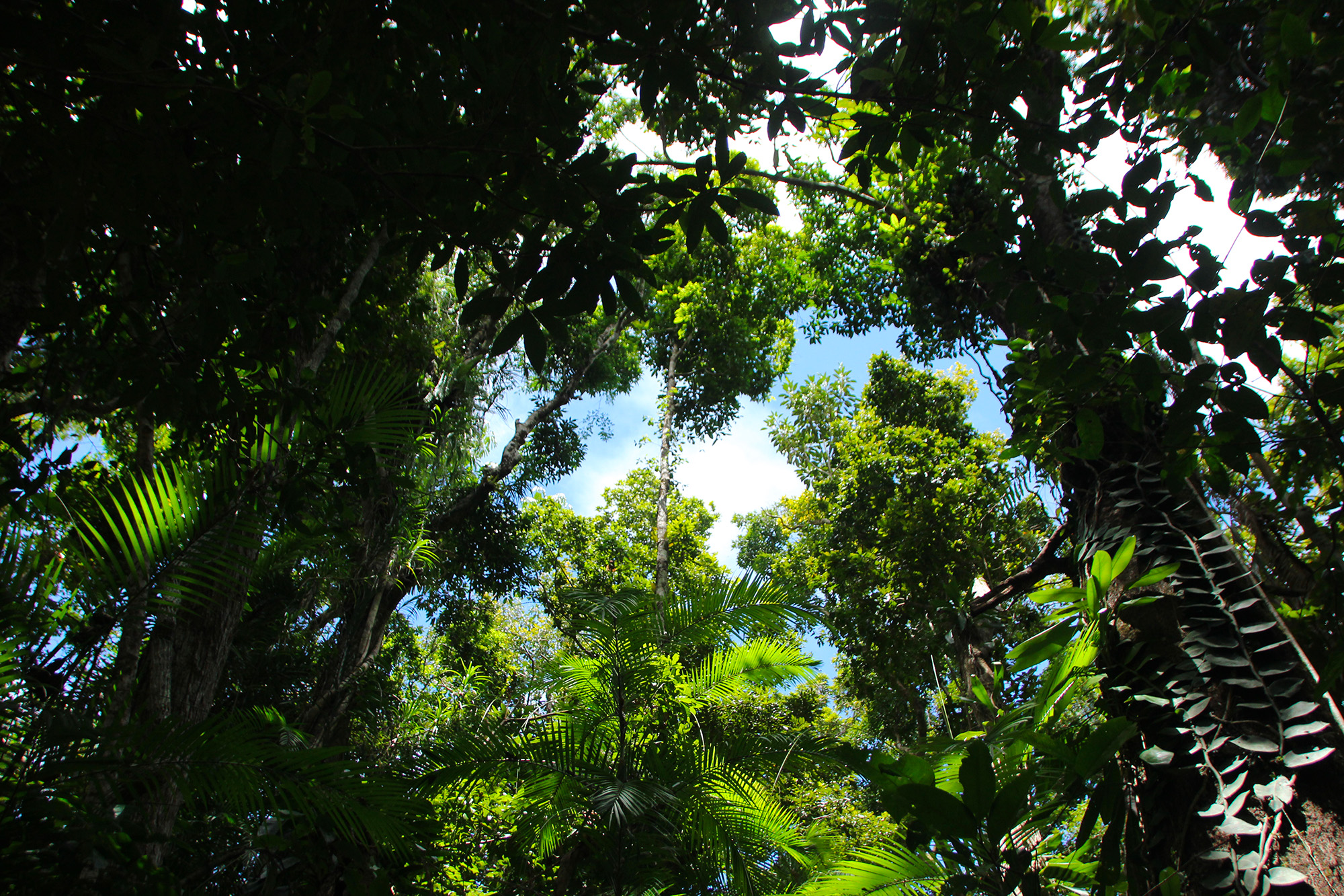 The Truth About Green Season in Guanacaste, Costa Rica