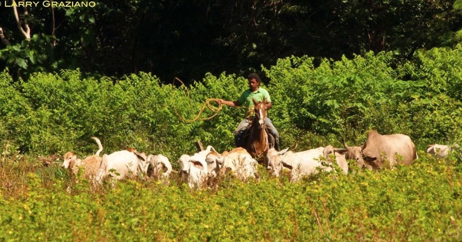 Costarican Words You Need to Know