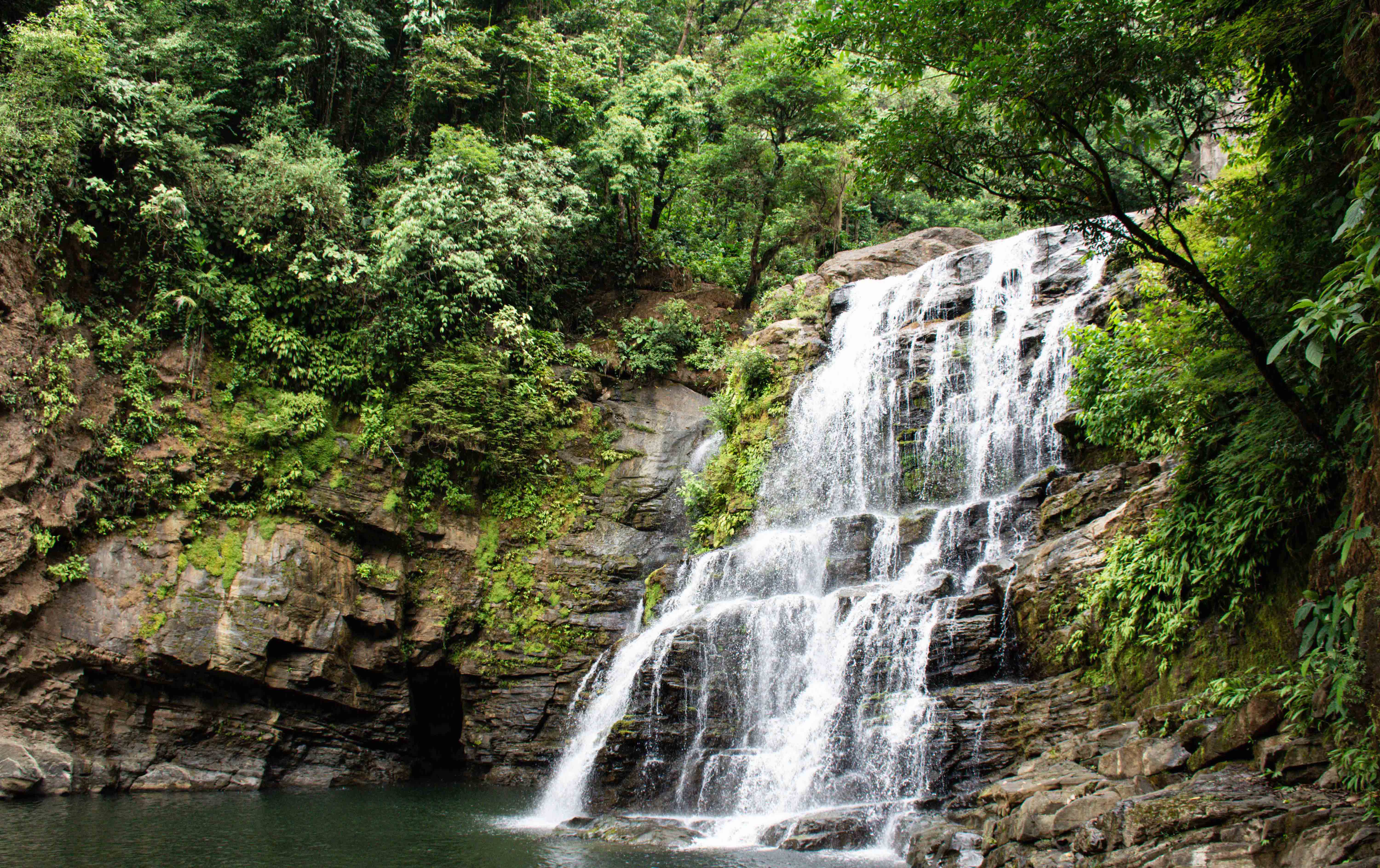 The Top 3 National Parks Outside of Guanacaste and Why They’re Worth the Trip