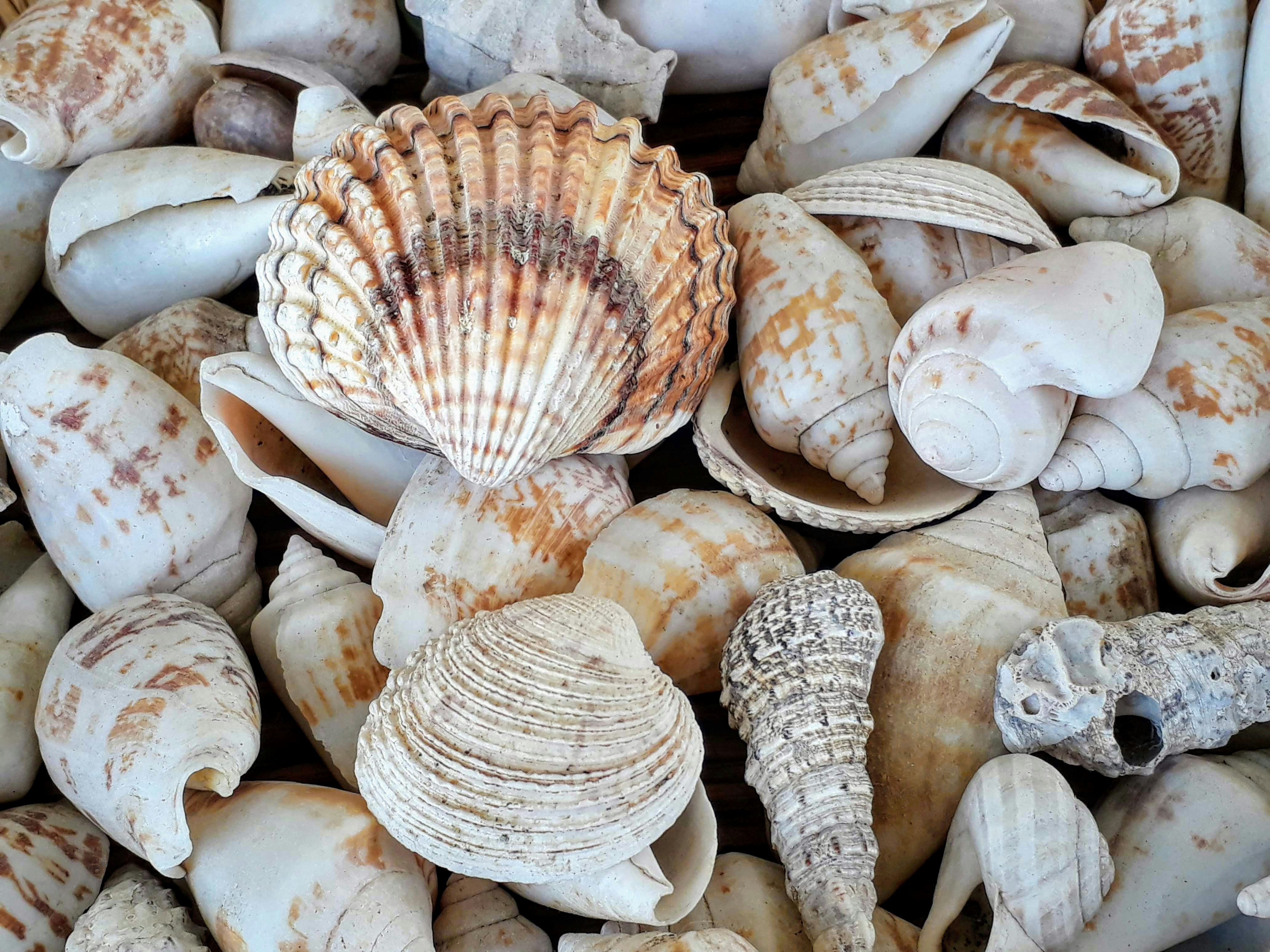 What NOT to Take Home from Your Trip to Costa Rica
