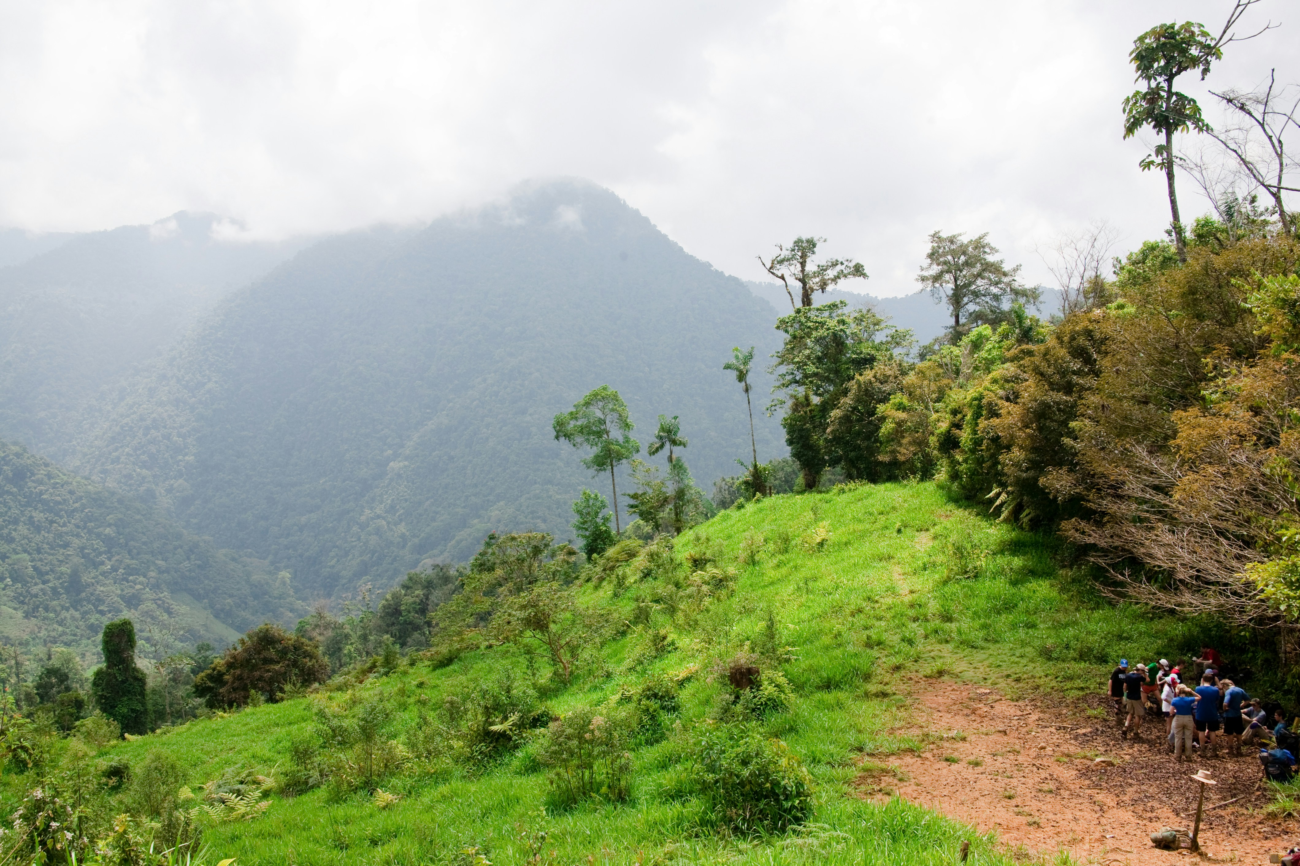 Top 4 Packing Essentials for Hiking in Costa Rica: A Guide to Adventure-Ready Gear